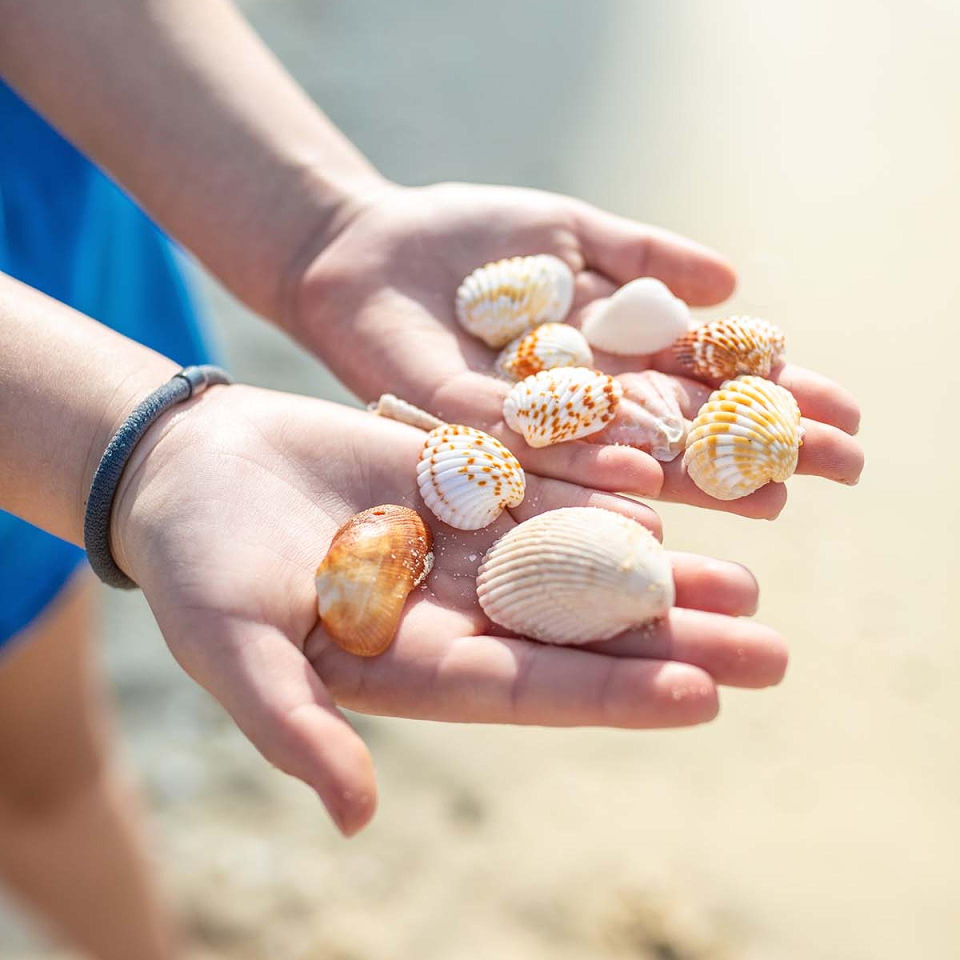 main enfant coquillages