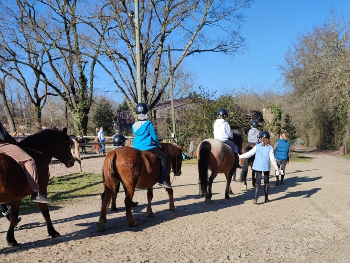 Nature o galop