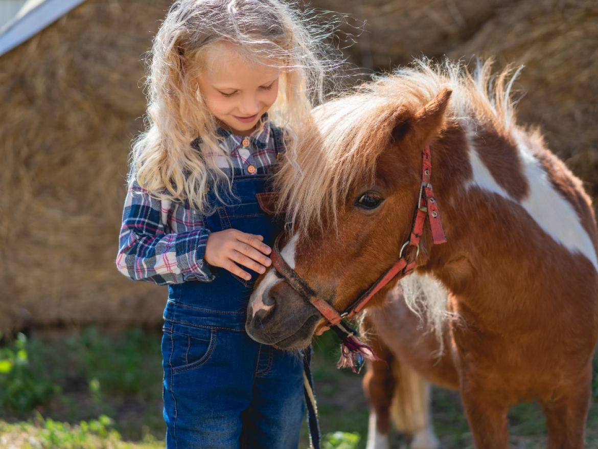 poney