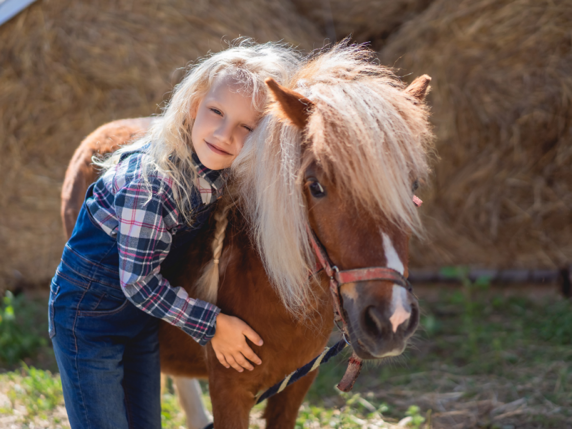 poney