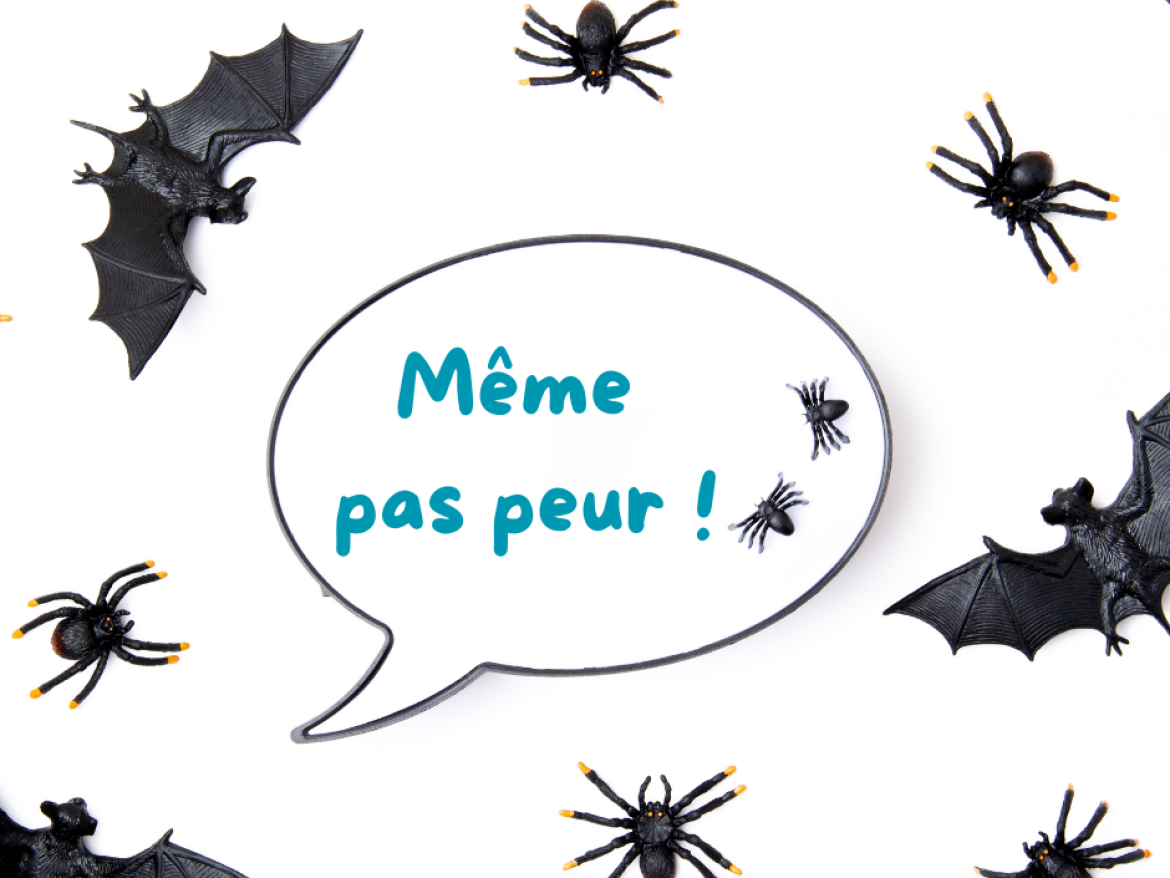 Chauve souris