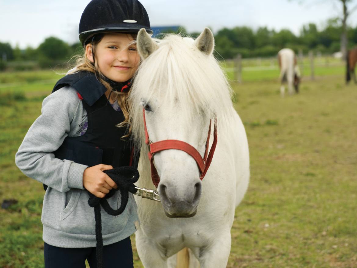 poney