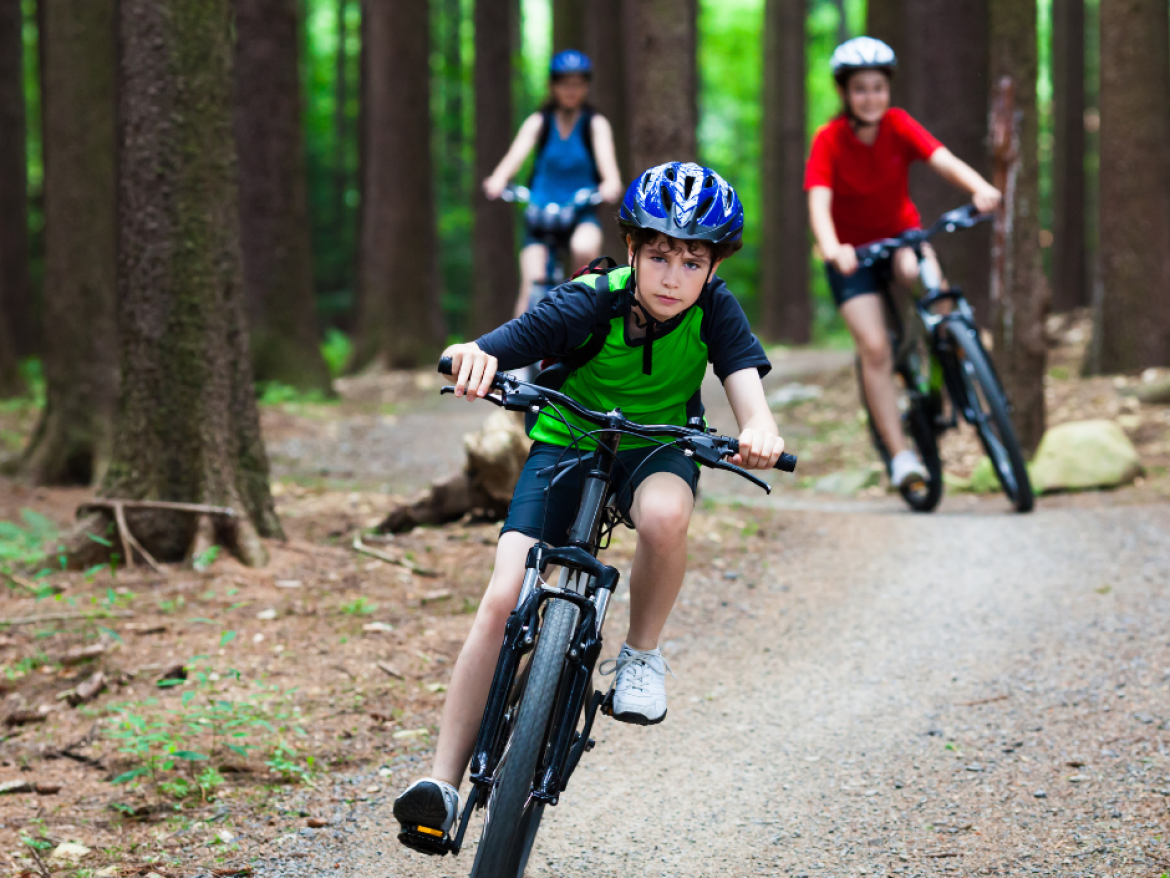 vtt foret
