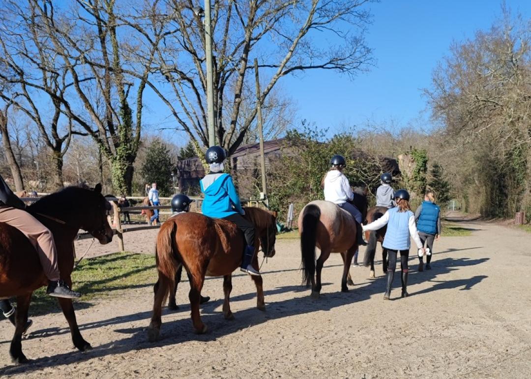 Nature o galop