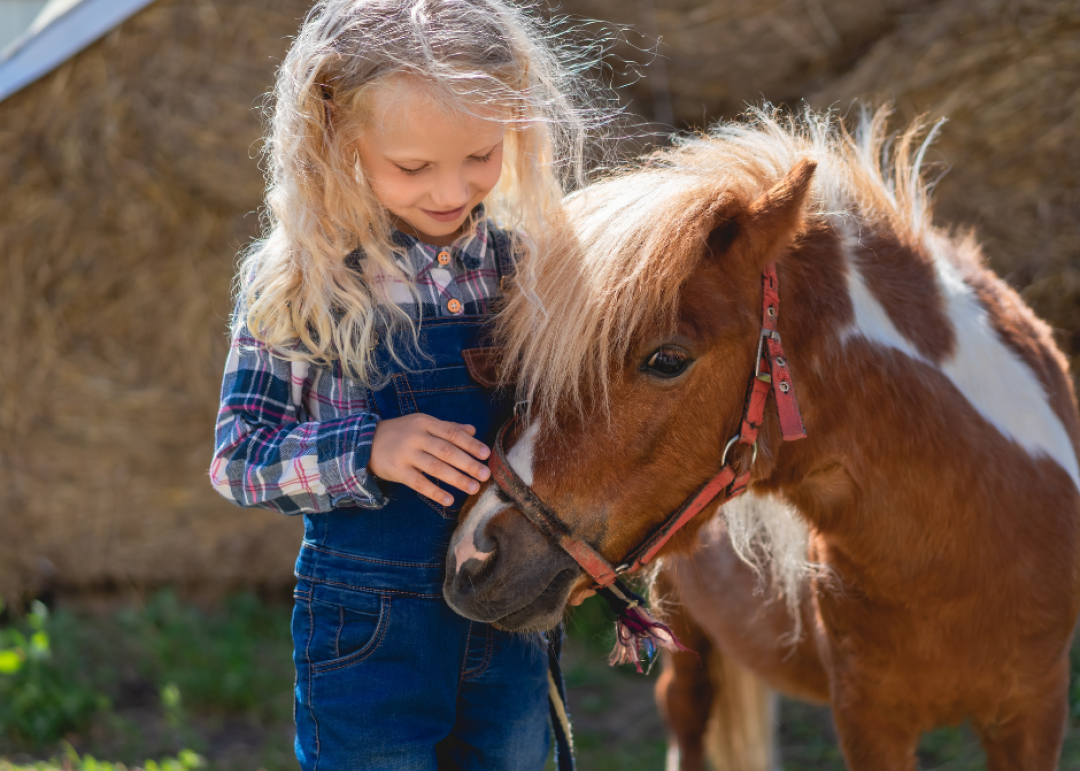 poney