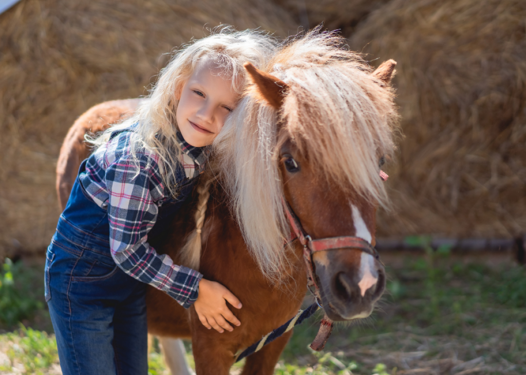 poney