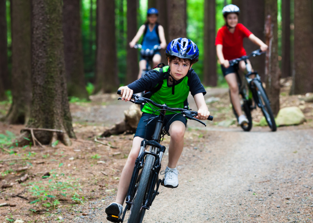 vtt foret