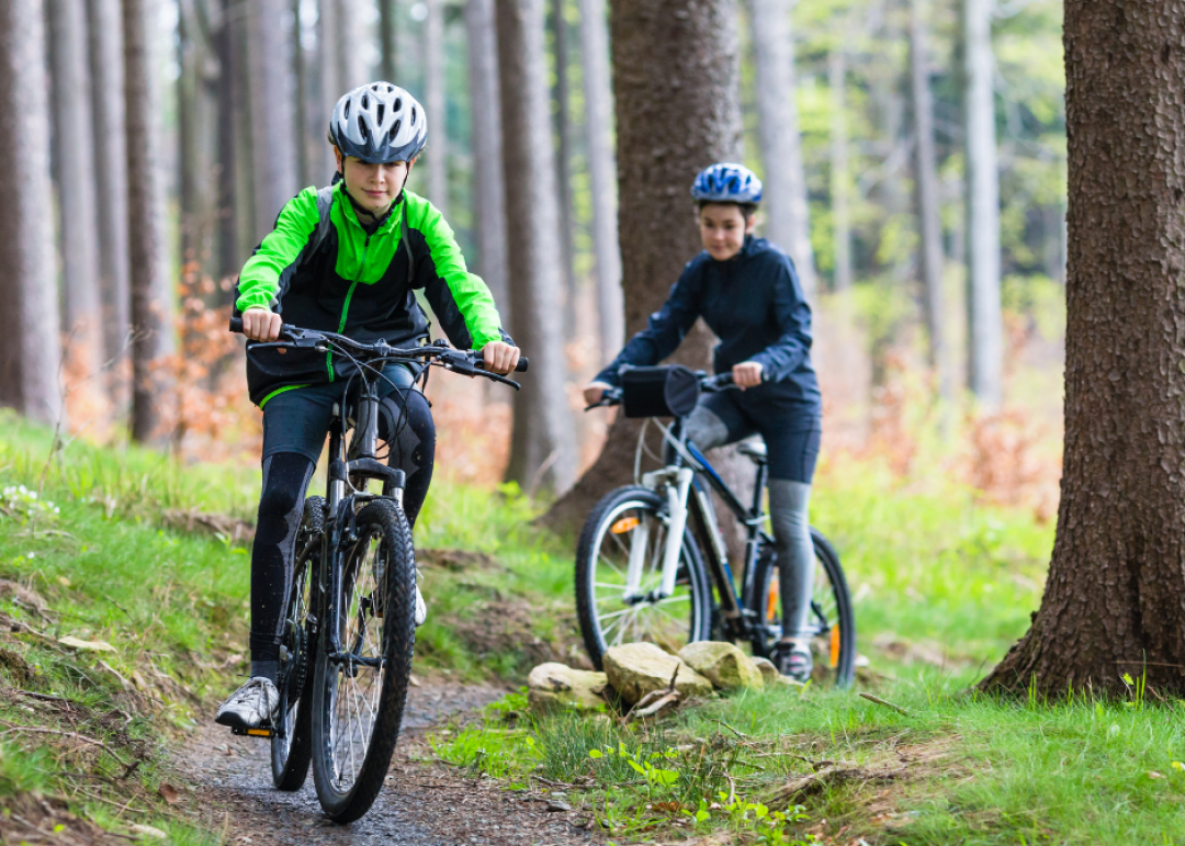 vtt