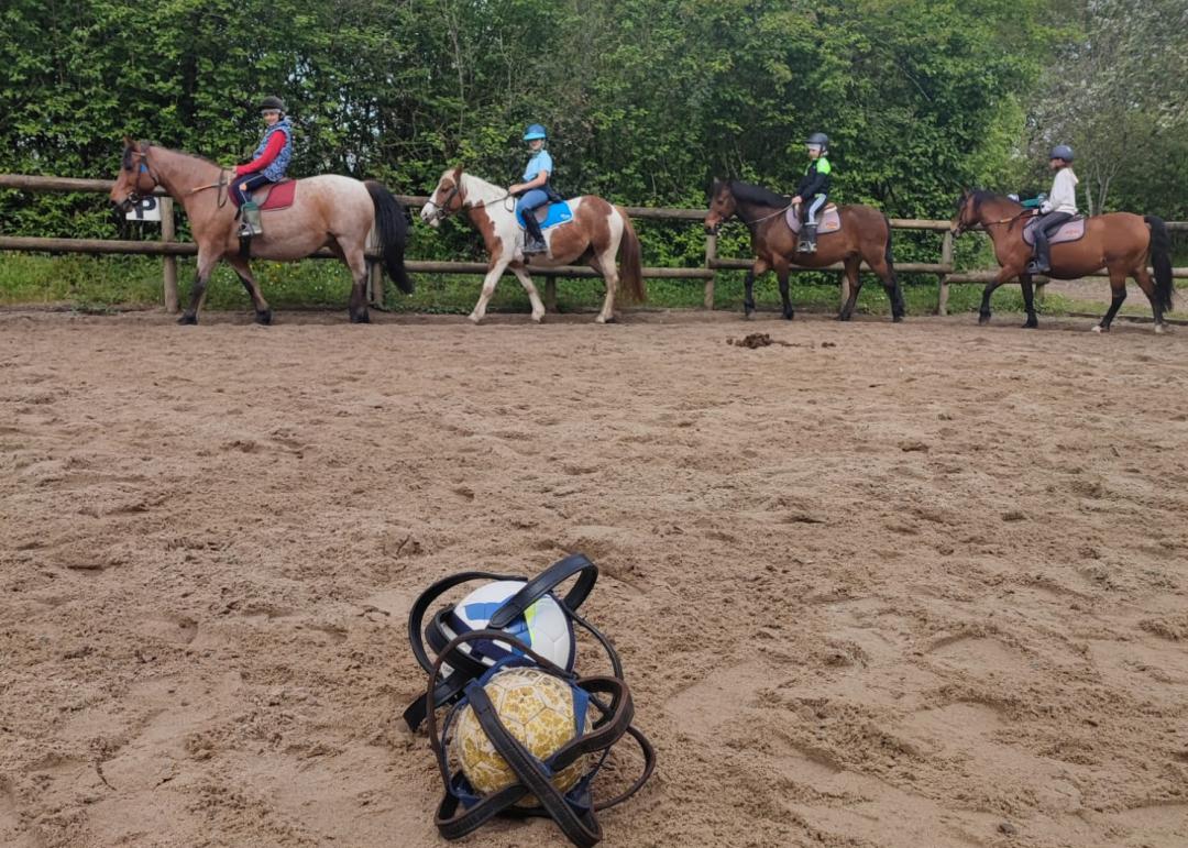 pony ball